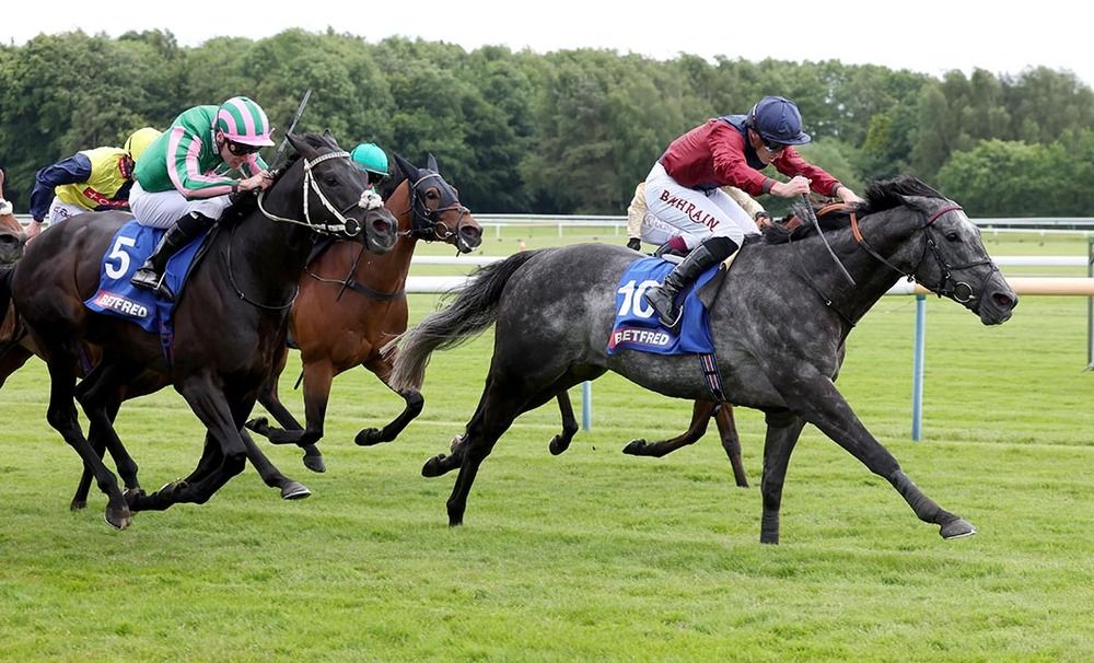 Tiber Flow and Tom Marquand.