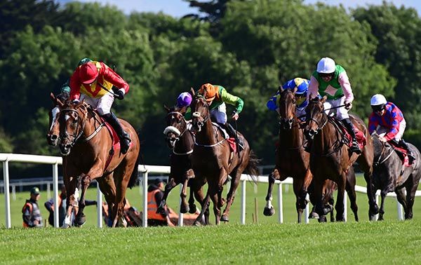 Fatal Flaw and Derek O'Connor. 