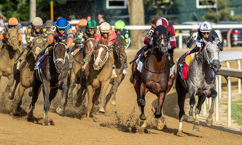 Runners approach the straight in the Belmont Stakes, with eventual winner Dornoch second from the right