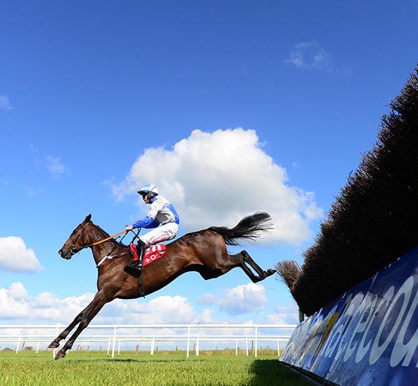 Paidi's Passion and Kevin Sexton clear the last