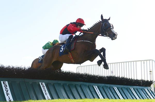 Baltinglass Hill jumps the last under Paddy O'Hanlon