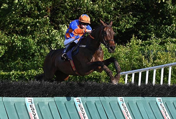 The Dabbler and Ross Berry