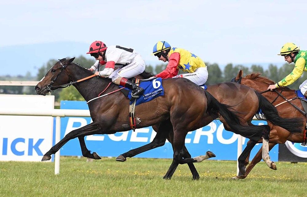 Hasten Slowly and Siobhan Rutledge. 