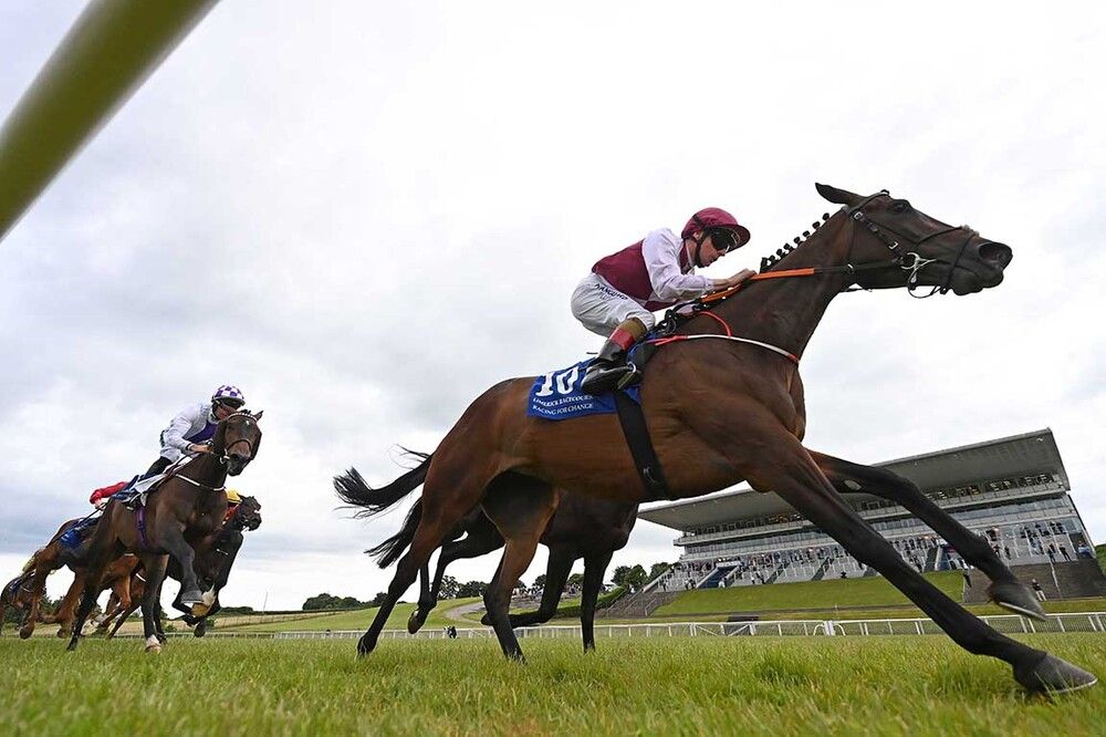 Roman Palace and Declan McDonogh. 