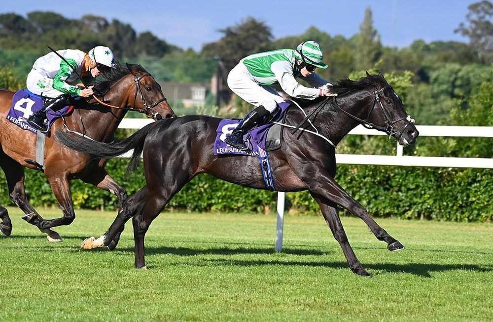Giuseppe Cassioli and Keithen Kennedy lead home Shoot To Kill and Cian MacRedmond