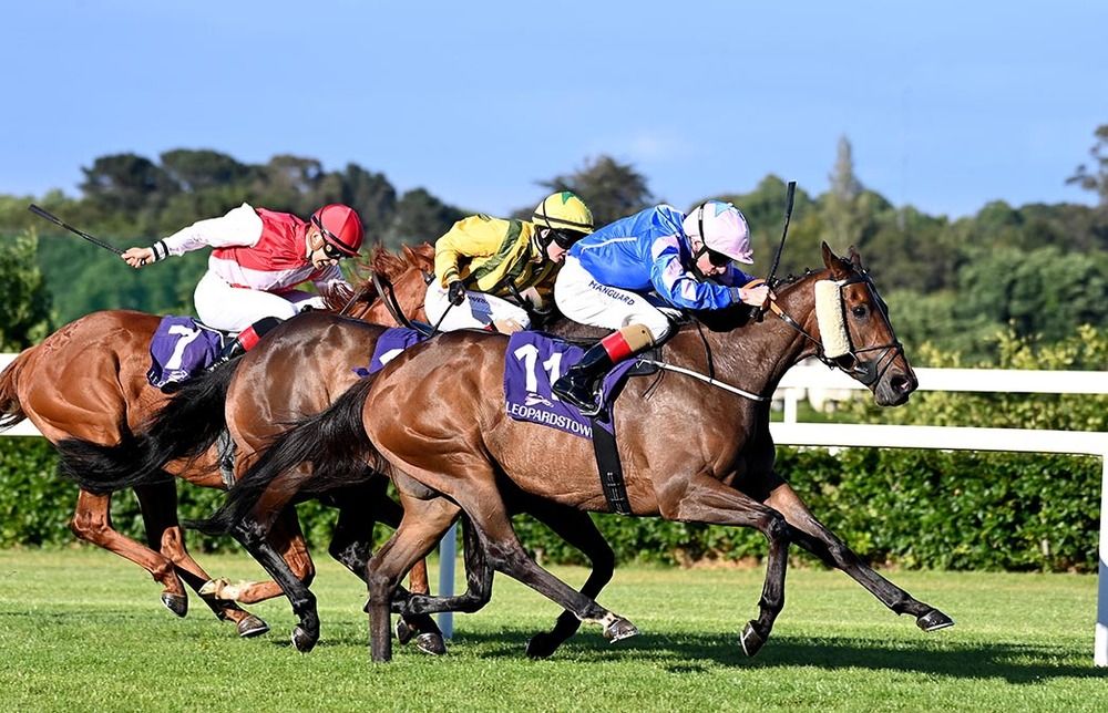 Boadicea Belle leads home her rivals under Declan McDonogh