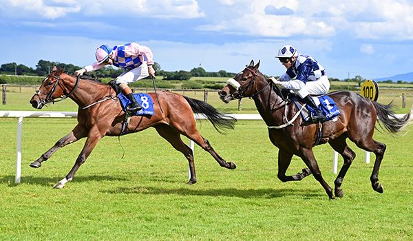 Fair Taxes and Donagh O Connor. 