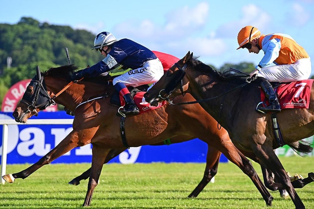 La Dame Blanche and Rory Mulligan. 
