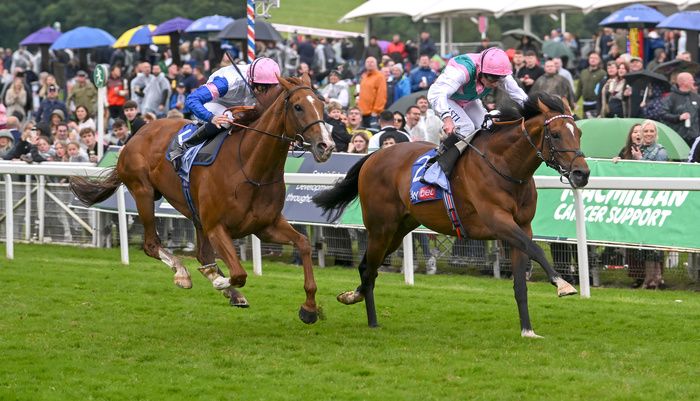 Klondike and Ryan Moore 