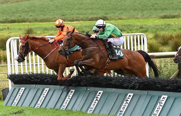 Talk In The Park (green) 