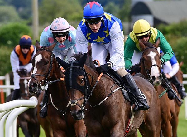 Dairy Force and Finny Maguire