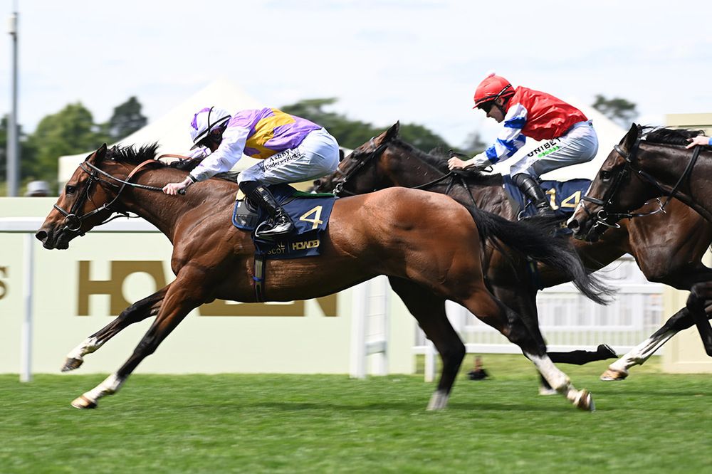 Going The Distance and Rossa Ryan deliver