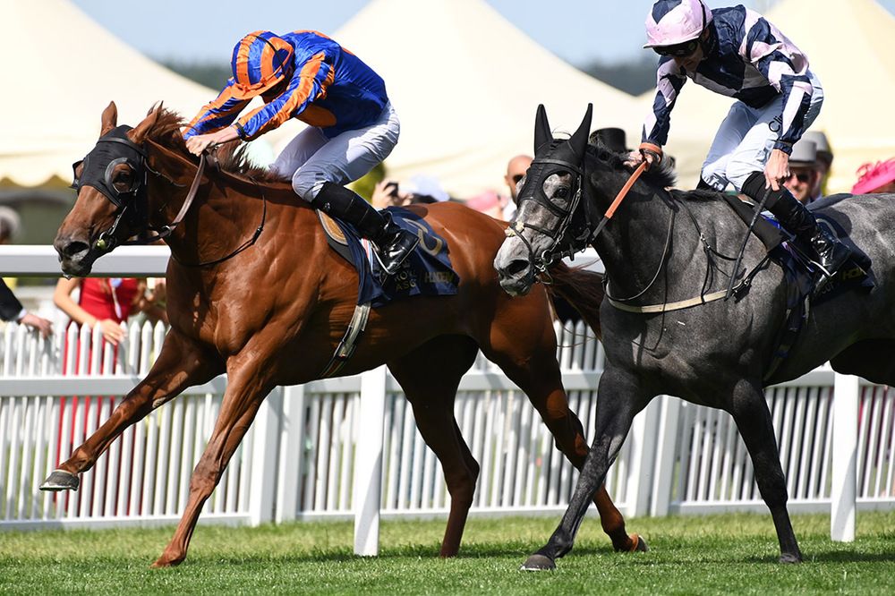 Port Fairy, left, beats Lava Stream by a neck