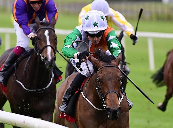 Shamrock Breeze and Billy Lee