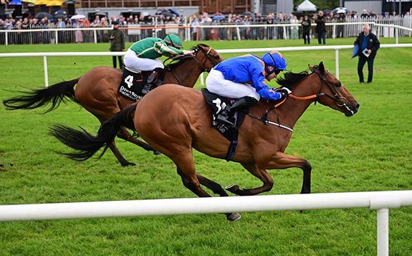 Comein Comein (nearside) and Gavin Ryan