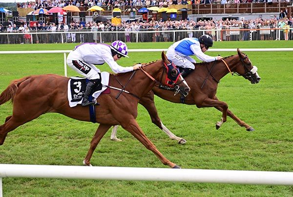 Dream Ticket (far side) leads home Model Approach