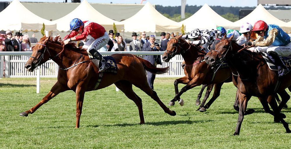 Unequal Love and Tom Marquand lead home their rivals