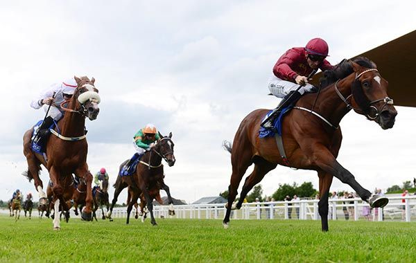 Siege Of Troy and Ben Coen. 