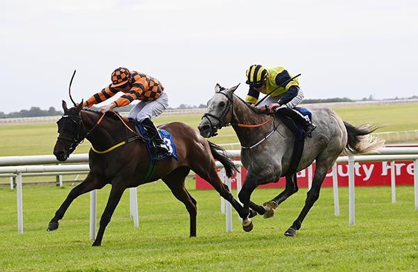 Golden Temple and Jamie Powell.