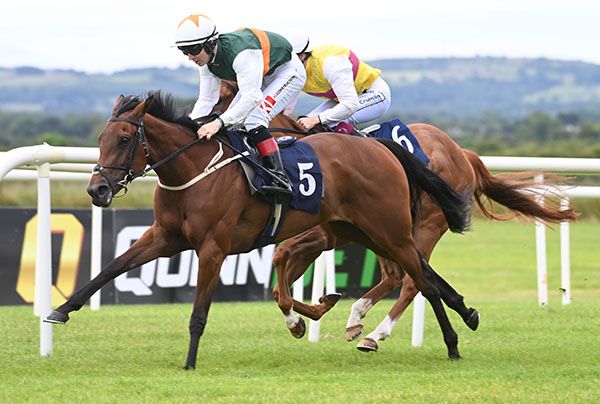 Sumptuary Law and Colin Keane lead home Gibbs Island and Billy Lee