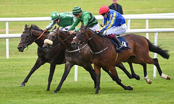 A three way surge to the line, with Out On Friday (far side) just holding off Slieve Binnian (centre) and Annexation