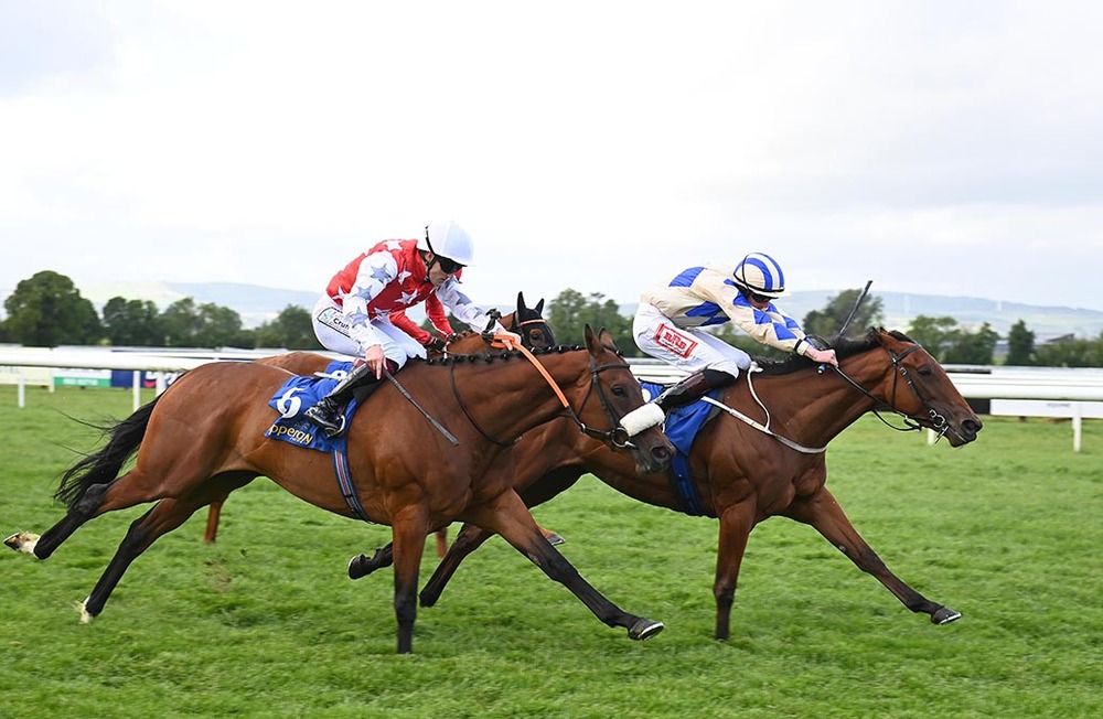 Blue Soul and James Ryan