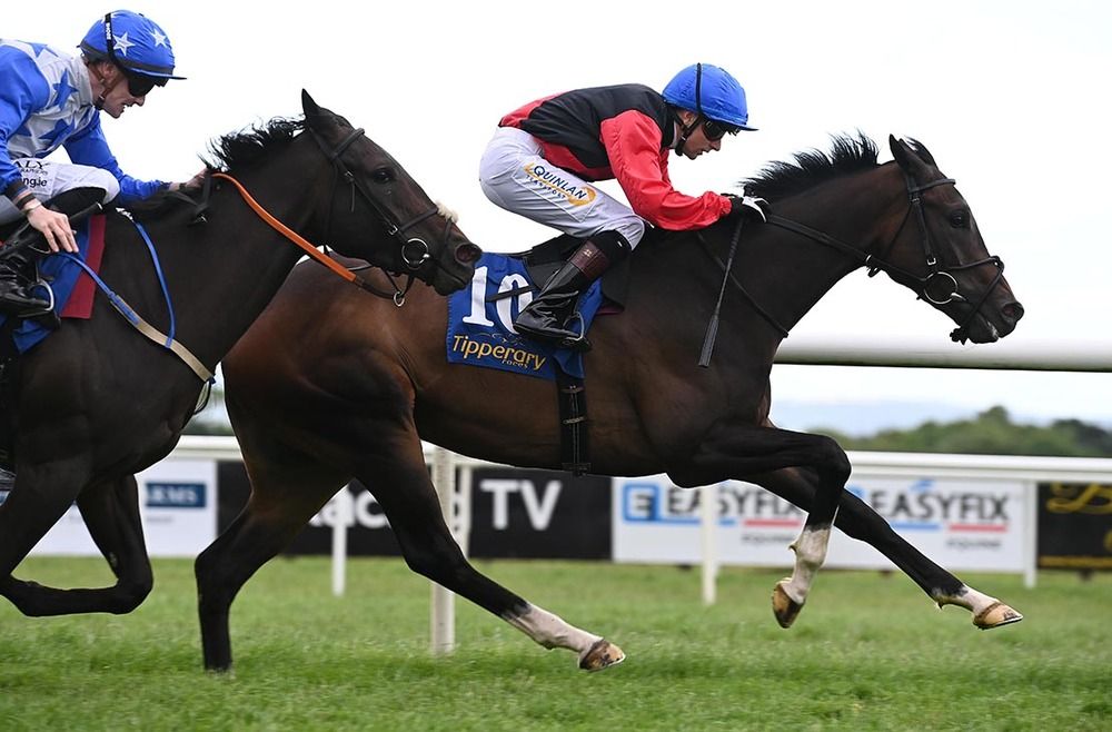 Killeaney Bear and Andrew Slattery 