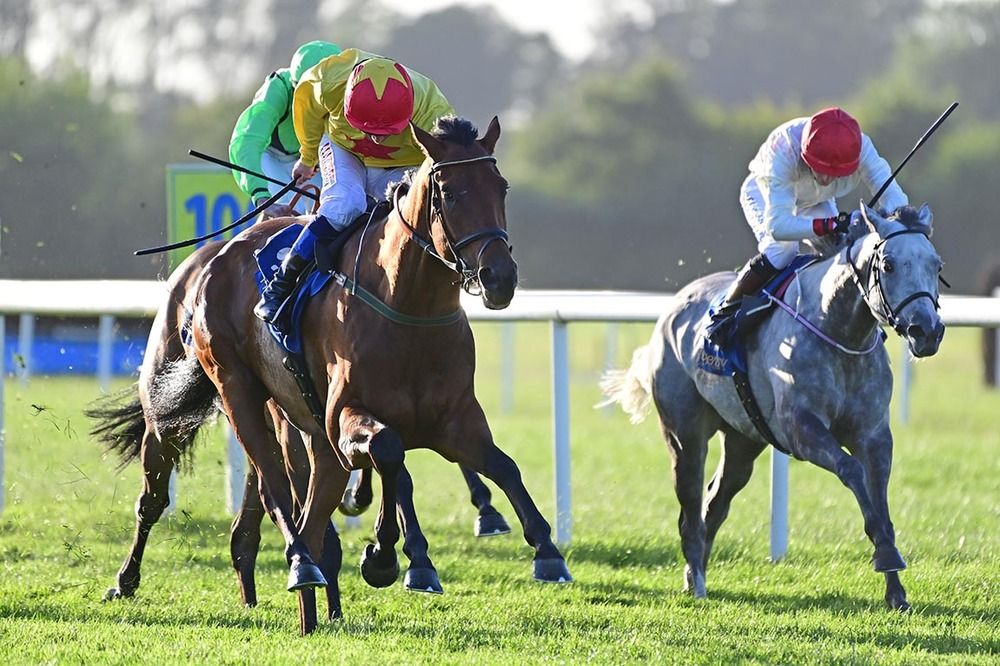 Ifitwasme and Chris Hayes 