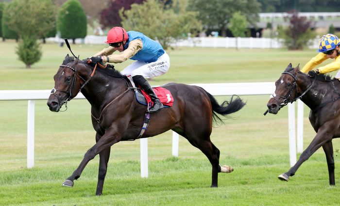 Aestrerius and James Doyle 