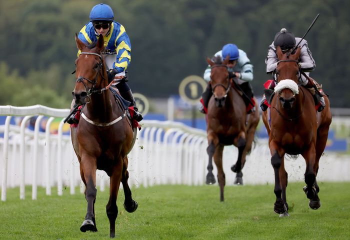 Trueshan and Hollie Doyle winning the Coral Marathon