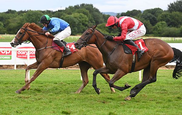 Windbeneathmywings (blue) clings on to beat The Last Line