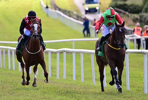 Bridgehead goes on from Royal Hollow