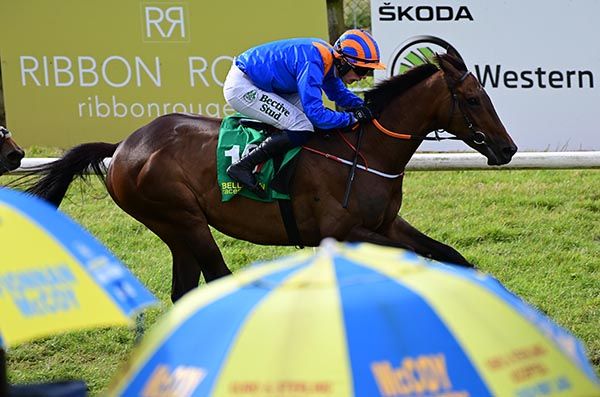 Petrol Head and Danny Gilligan