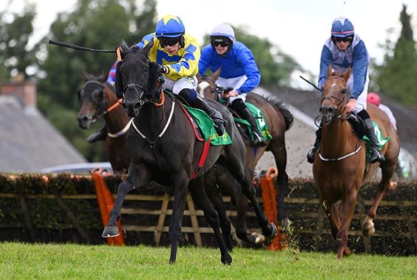 Lucky Storm heads for home under Danny Gilligan