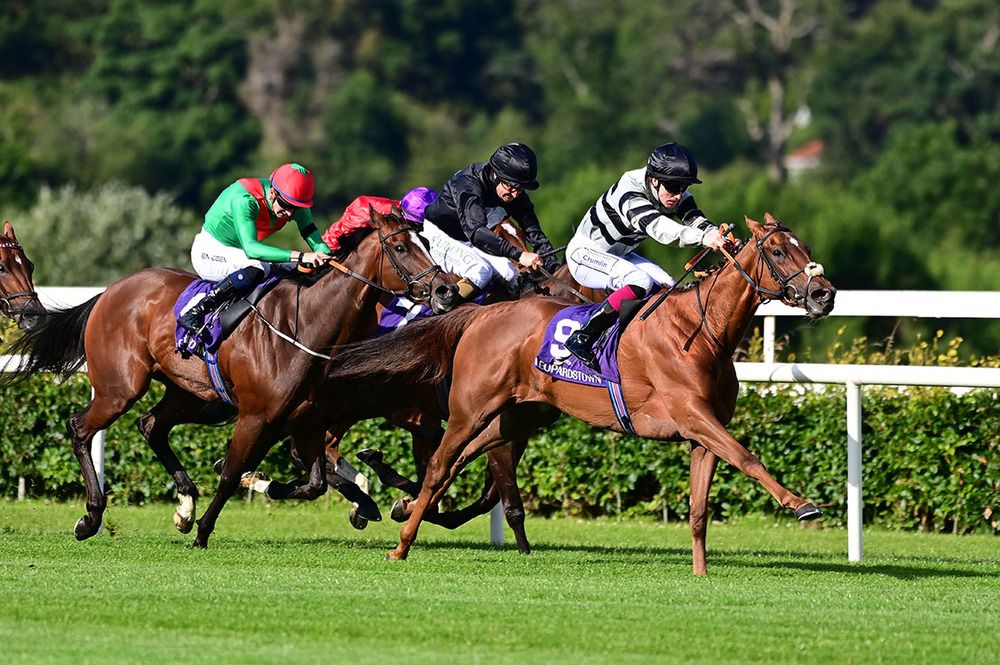 Willie McCreery is on fact finding mission with Jancis. 