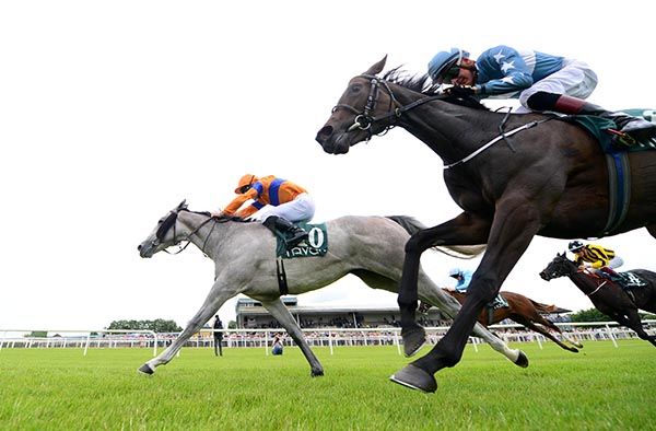 Shimmy Jimmy and Gavin Ryan (far side) beat Rion Rubette