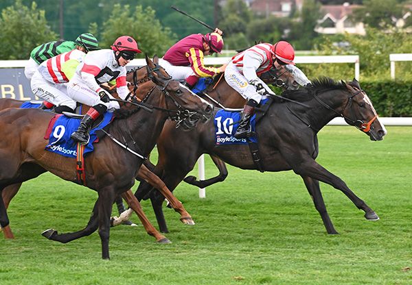 Cloud Seeker (right) holds on gamely