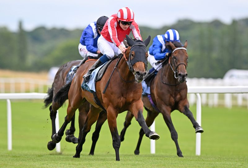 Phantom Flight (Callum Shepherd) wins the Get Best Odds Guaranteed At BetVictor Steventon Stakes Newbury 20-7-24Healy Racing