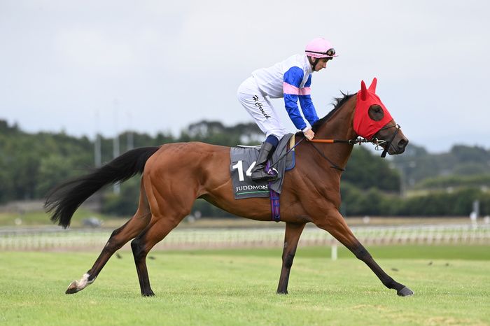 You Got To Me and Hector Crouch at the Curragh
