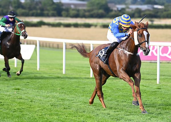 Selective Power and Sean Bird 