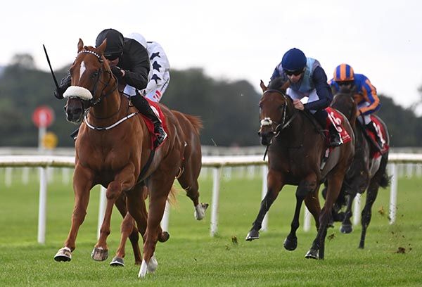 Morning Vietnam and Seamie Heffernan