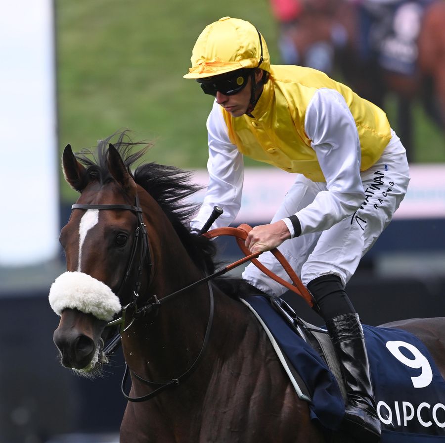 Sunway makes his return to action at Newbury on Saturday 