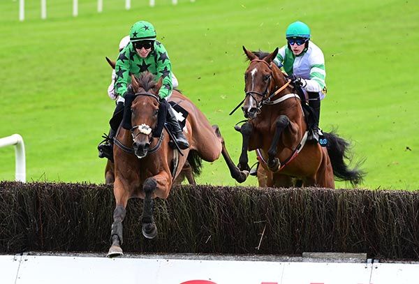 Galway 2024 Ashdale Bob wins the Guinness Novice Steeplechase 
