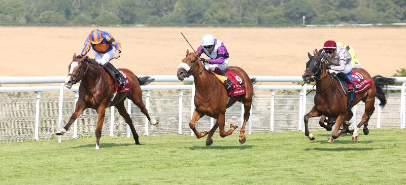 Sparkling Plenty (right) was third in last week's Nassau Stakes