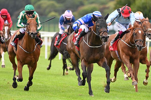 Ginormous (hooped cap) 