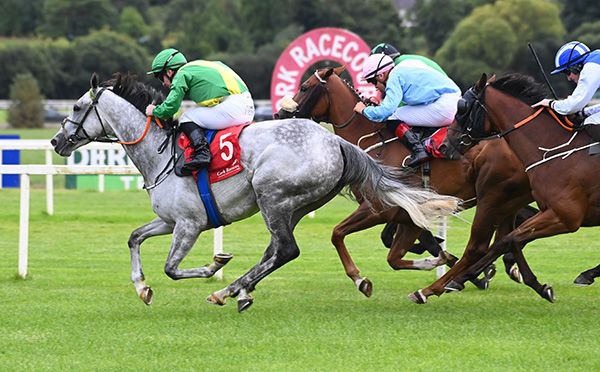 The grey Hurricane Helen finishes best  