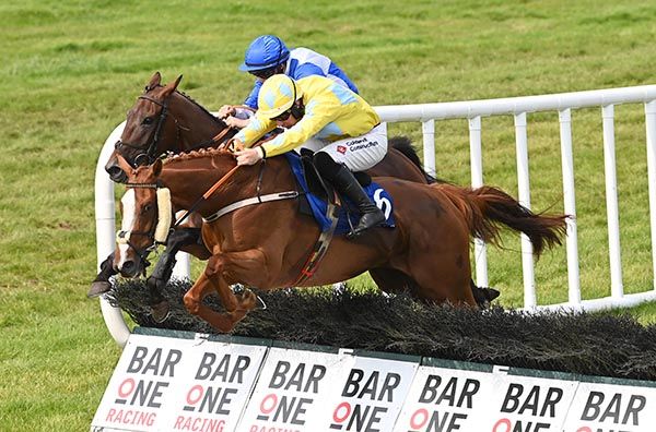 Mater Matuta obliging under Jordan Gainford 