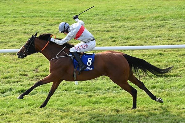 Parga Diamond heads for home