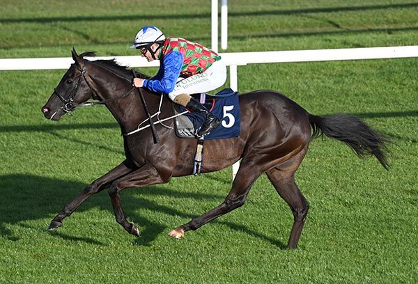 Sea Eagle and Shane Foley