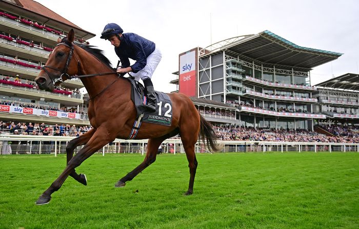 York 21-August-2024  The Juddmonte International Stakes (Group 1)City Of Troy and Ryan Moore on way to the start ahead of win.Healy Racing